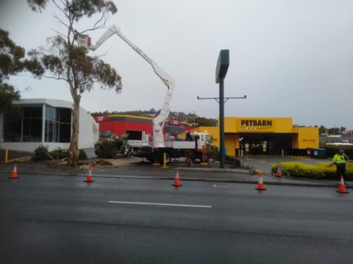 Tree Removal Hobart